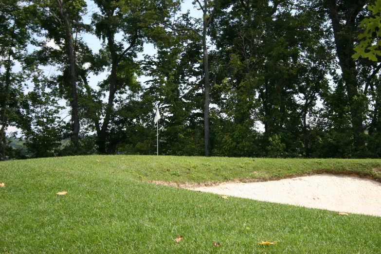 a small hill is shown in the foreground and there are trees