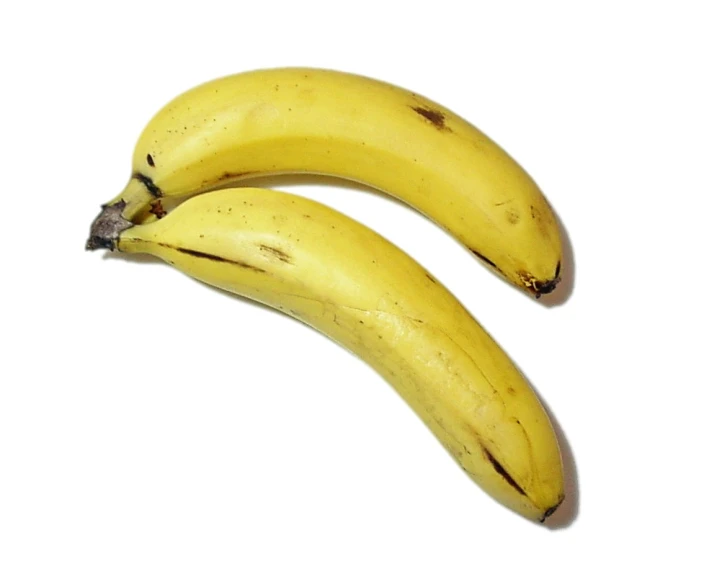 the two bananas have an edible bite taken out of them