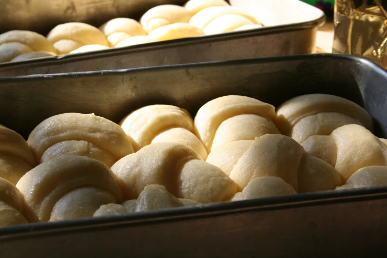 a tray of fresh donuts in tins