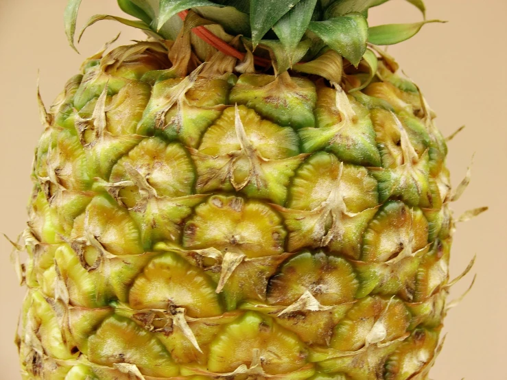 a large yellow pineapple sitting in a white cup