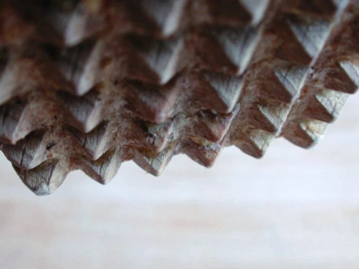 a closeup of a cone shaped piece of wood