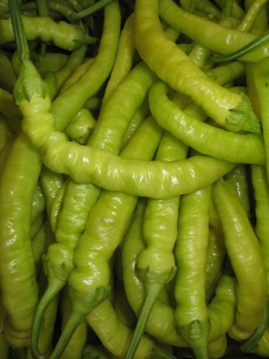 a pile of green beans sitting next to each other