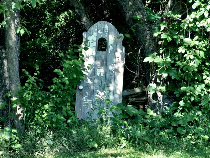 an abandoned wooden door in the middle of some trees