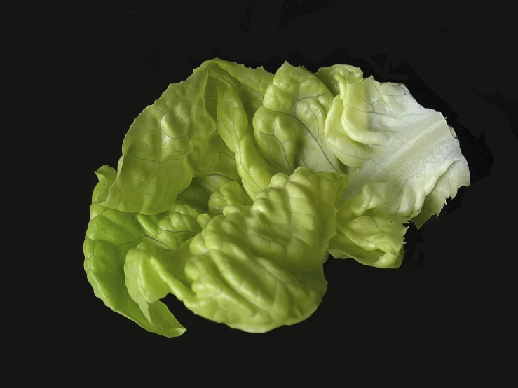a group of lettuce on a dark background