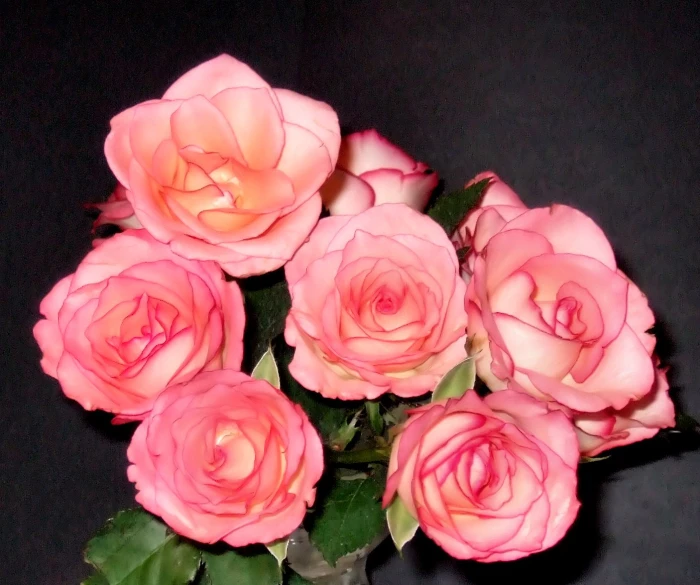 a bunch of pretty pink roses on display in a vase