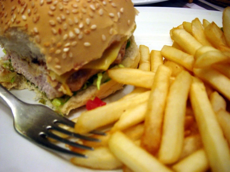 a hamburger and french fries on a white plate