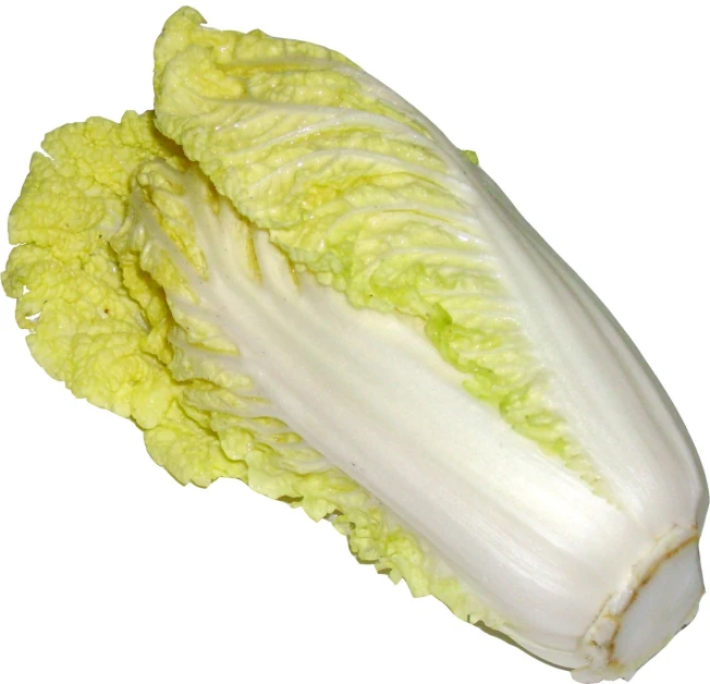an image of white lettuce on a white background