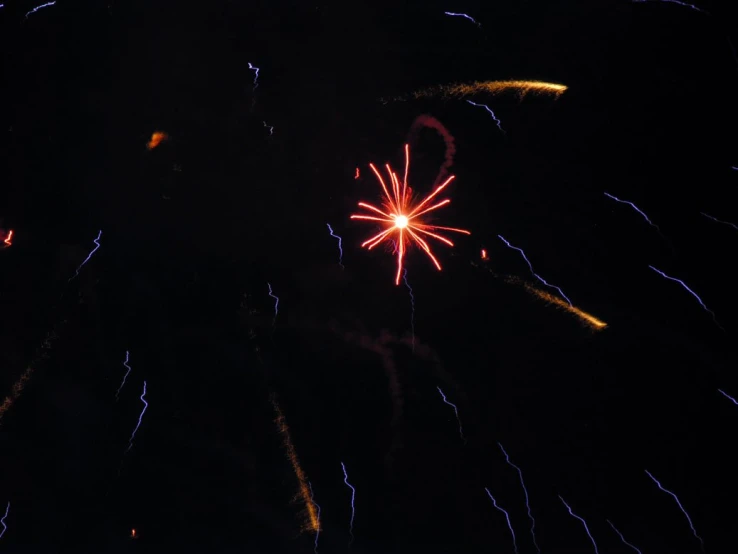 fireworks bursting over a black sky at night