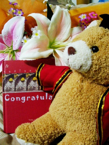 a teddy bear is posed next to a book