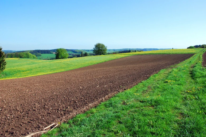 the plowed field is beside the grass lined road