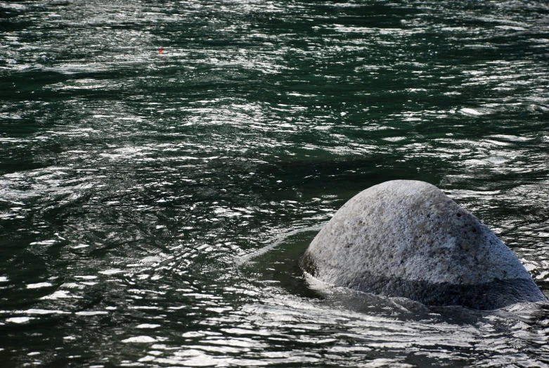 a large rock sitting in the water