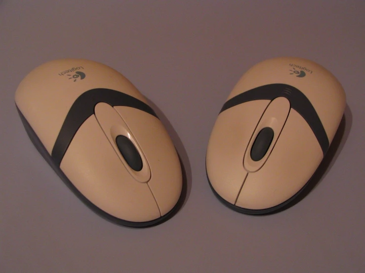 two tan mice are side by side with each other