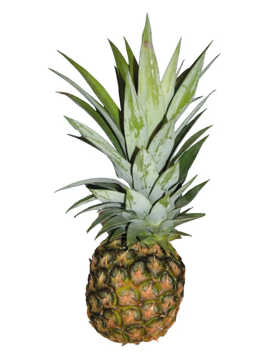 an odd looking pineapple sitting in a clear bowl