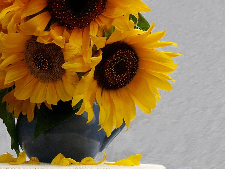 a vase full of bright yellow flowers sitting on a shelf