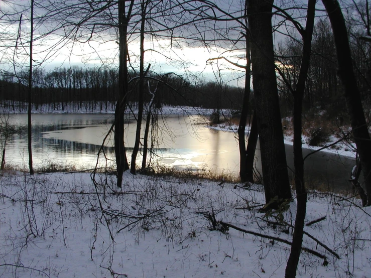 a body of water in a wooded area with snow and ice