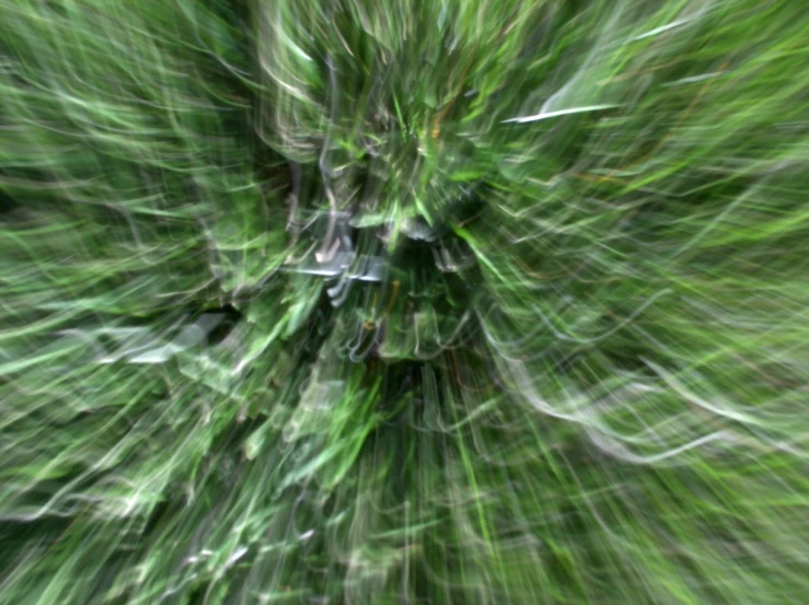 a green image of abstract trees and bushes