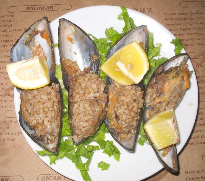 a plate of oysters, with lemon wedges, on a paper plate