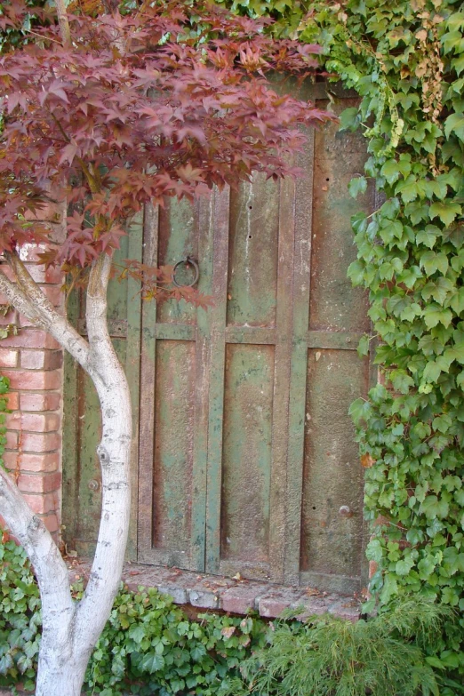 a green tree with red leaves and green bushes next to a building