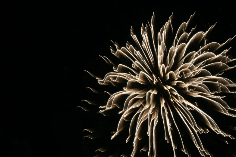 an extremely big and shiny fireworks in the night sky