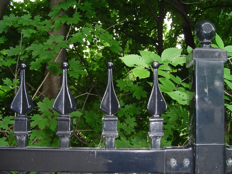 a black iron gate with green leaves around it