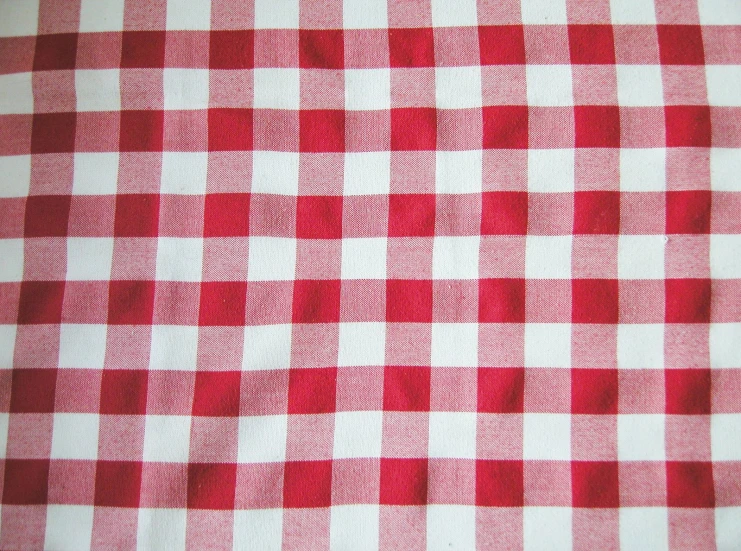 a close - up of a red and white checkered table cloth