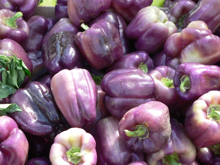 some purple bell peppers that are up close to each other