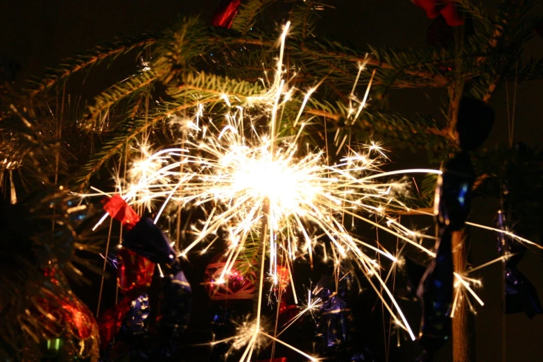 this is an image of fireworks on a tree