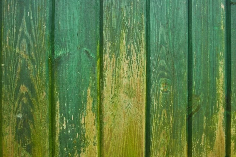 a very close up picture of a green wooden fence