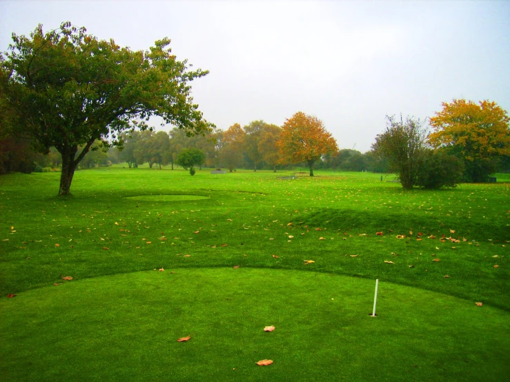 a green golf course is seen in the distance