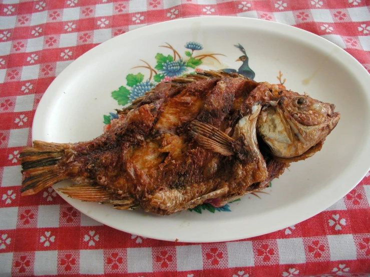 a white plate with food sitting on top of a table