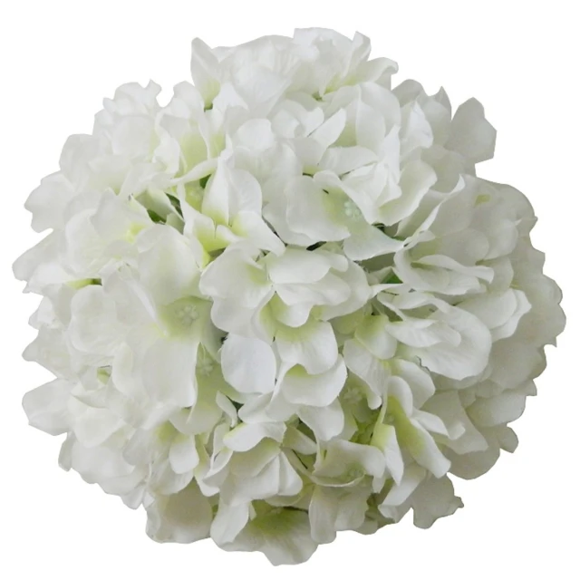 a large white flower is on display with white background