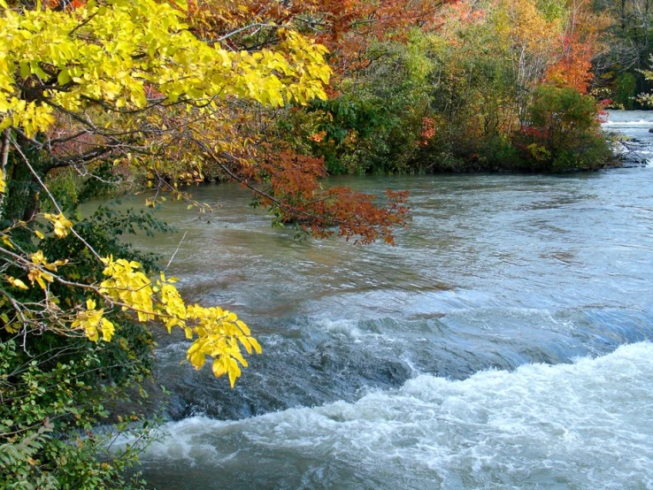 the water has a small waterfall as it moves along