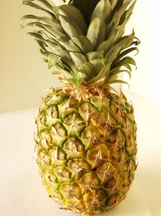 the large pineapple has several stalks on it