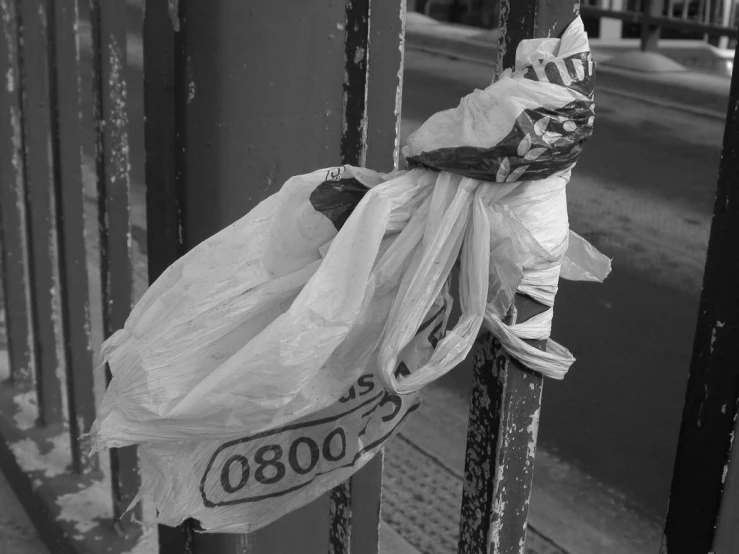 bags of garbage hanging up on a fence