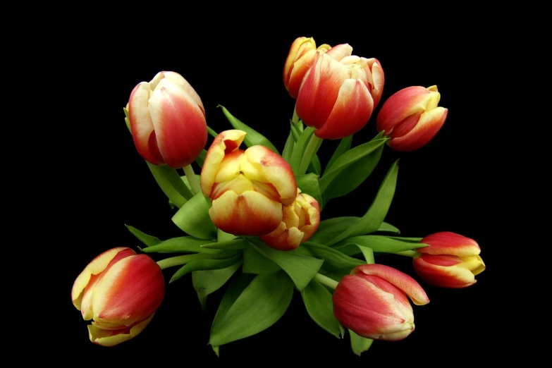 several flowers in a bouquet are isolated on a black background