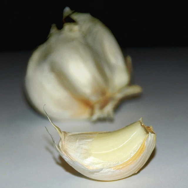 closeup of a piece of garlic and an onion