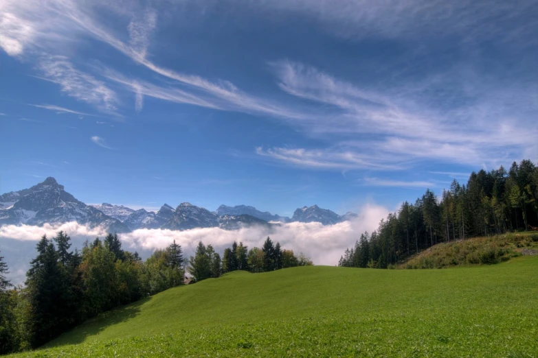 a green grassy field and some trees under a cloudy blue sky