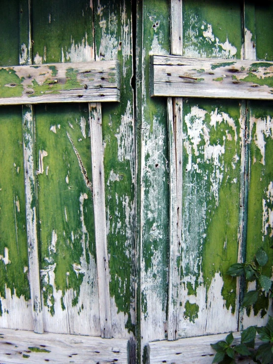 a wooden door is shown with peeling paint