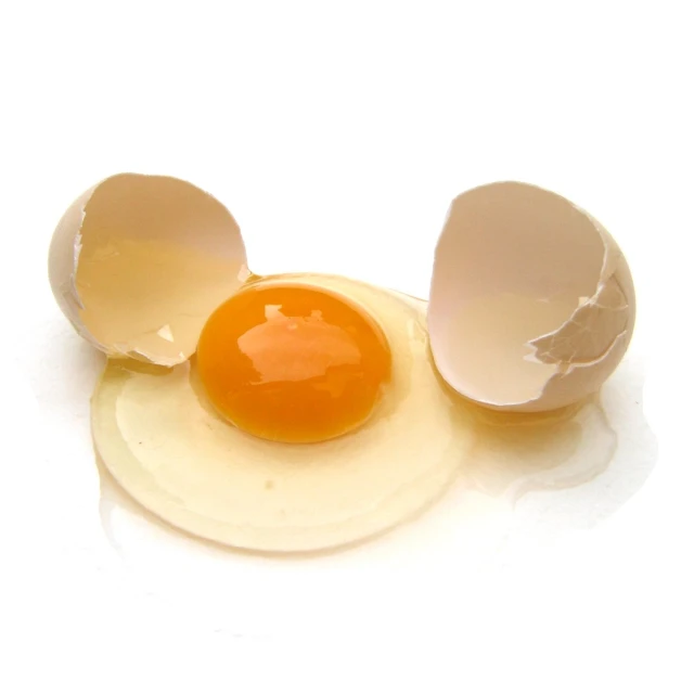 a ed egg on a white background