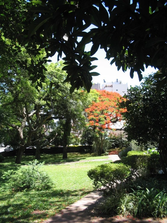 the trees and bushes are all around the park