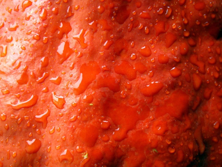 some water drops are hanging on a red banana