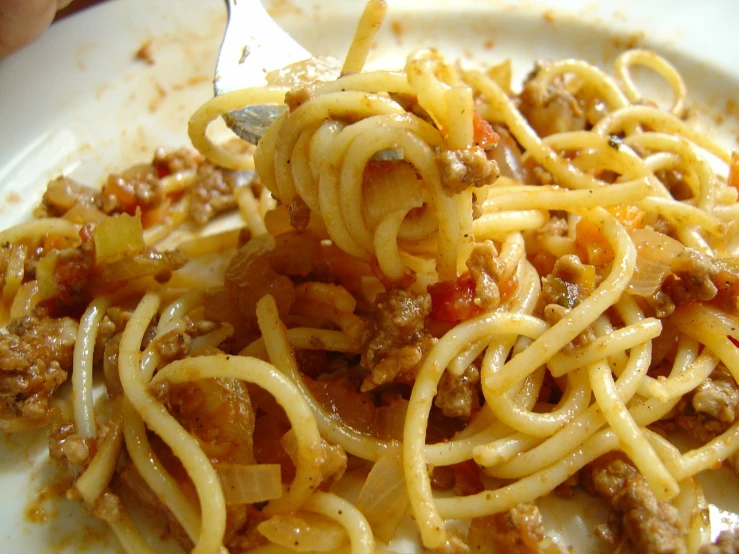 a fork with a pasta dish over a plate of spaghetti