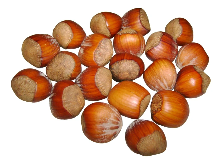 some nuts are gathered together on a white background