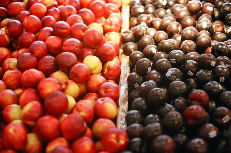 different varieties of fruit displayed together for display