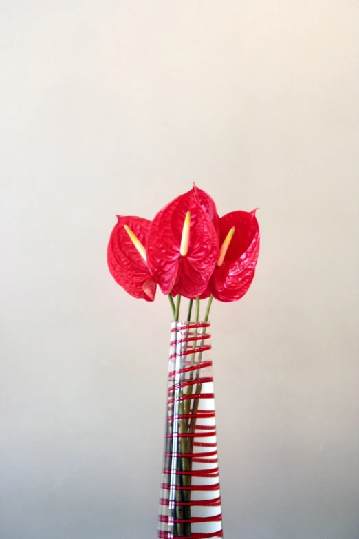 three red flowers sit in a decorative, striped vase