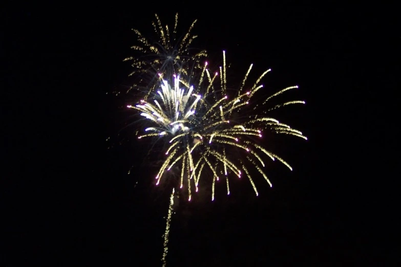 a large fireworks is lit in the dark sky
