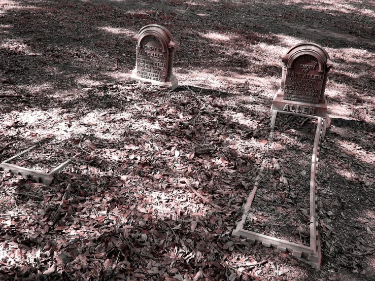 two chairs sit in a field next to a tree