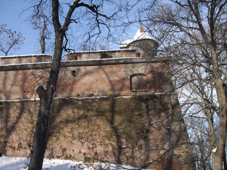 a snow covered ground with trees and a brick wall