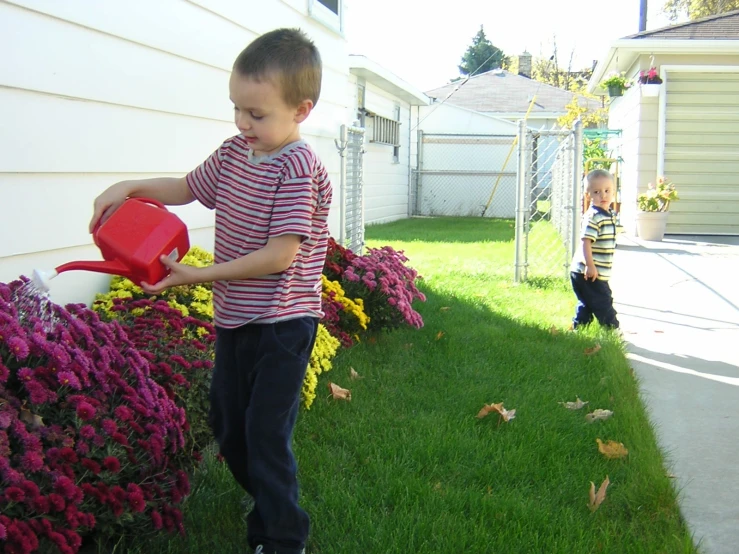 two s are watering flowers in their backyard