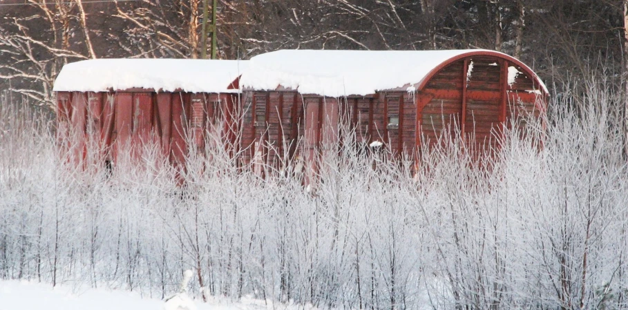 snow covered train in a snowy landscape with trees